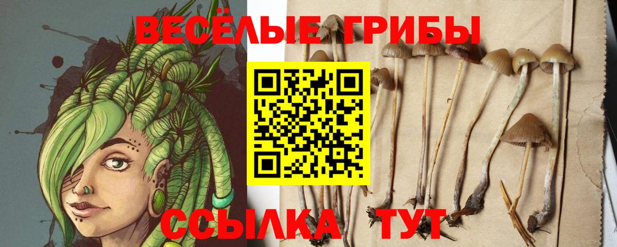 Галлюциногенные грибы GOLDEN TEACHER  Галлюциногенные грибы GOLDEN TEACHER  Вход с VPN  Севастополь 