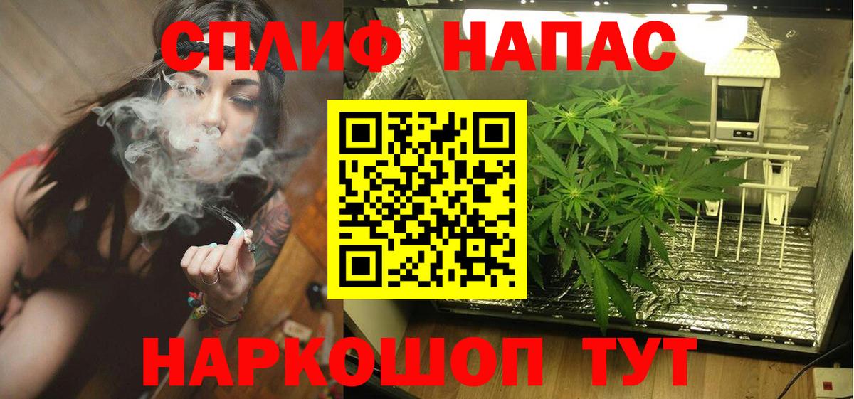 Бошки Шишки Севастополь